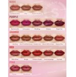 رژلب مات شیگلم مدل Matte Allure Lipstick - تصویر 2