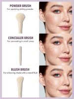 ست براش 6 عددی مدل Pro Core Brush شیگلم - تصویر 4